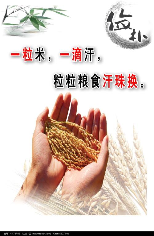 购买假泰勒大学毕业证